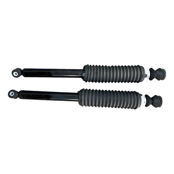 Amortecedor Traseiro Par Argo 2018 A 2023 Original.